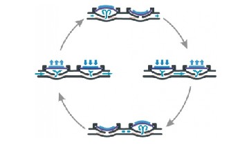 Pump function principal